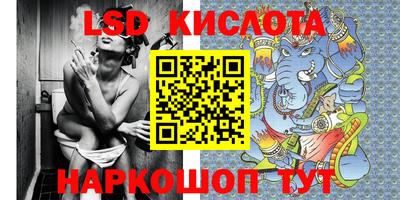 шишки Братск