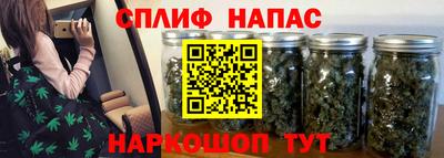 шишки Братск