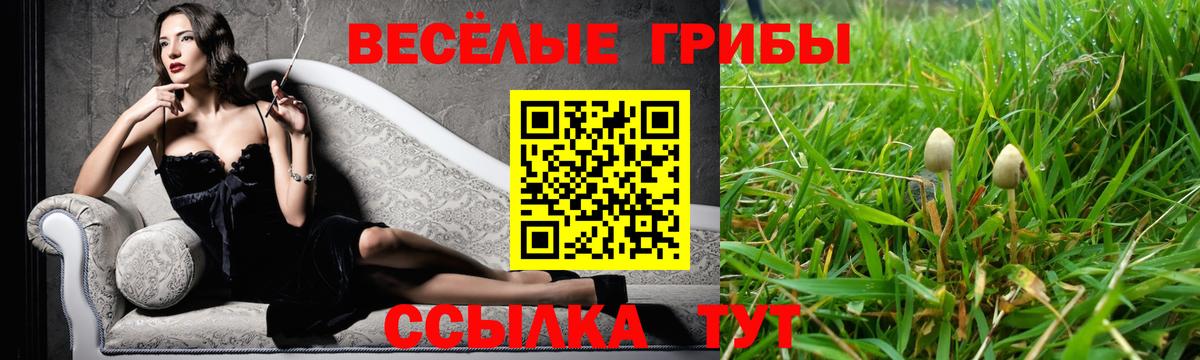 Псилоцибиновые грибы Psilocybine cubensis Добрянка