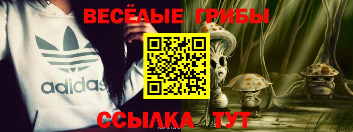 Псилоцибиновые грибы мухоморы  Псилоцибиновые грибы прущие грибы  Добрянка  Вход с VPN 